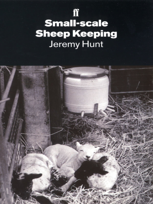 Small-Scale Sheep Keeping (eBook)